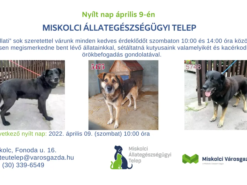 Nyílt nap az Állategészségügyi Telepen