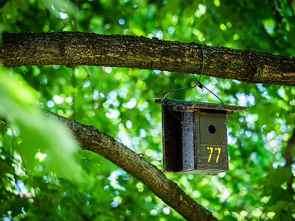 Fotó: Horváth Csongor