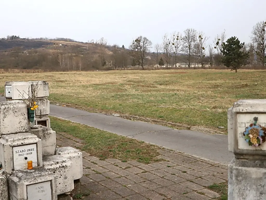 Fotók: Mocsári László idén márciusi felvételei