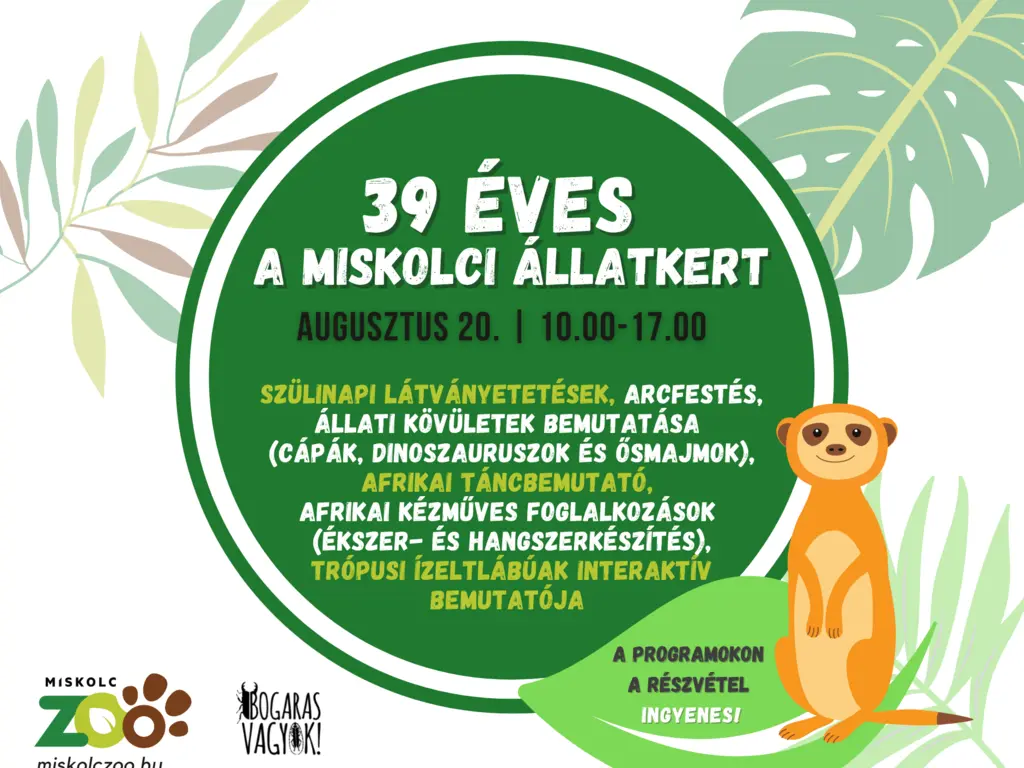 39 éves az állatkert!