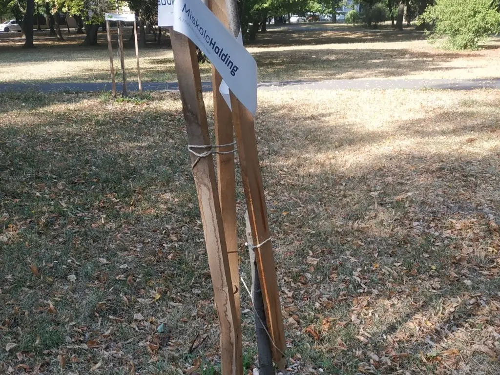 Természetkárosítás a Népkertben