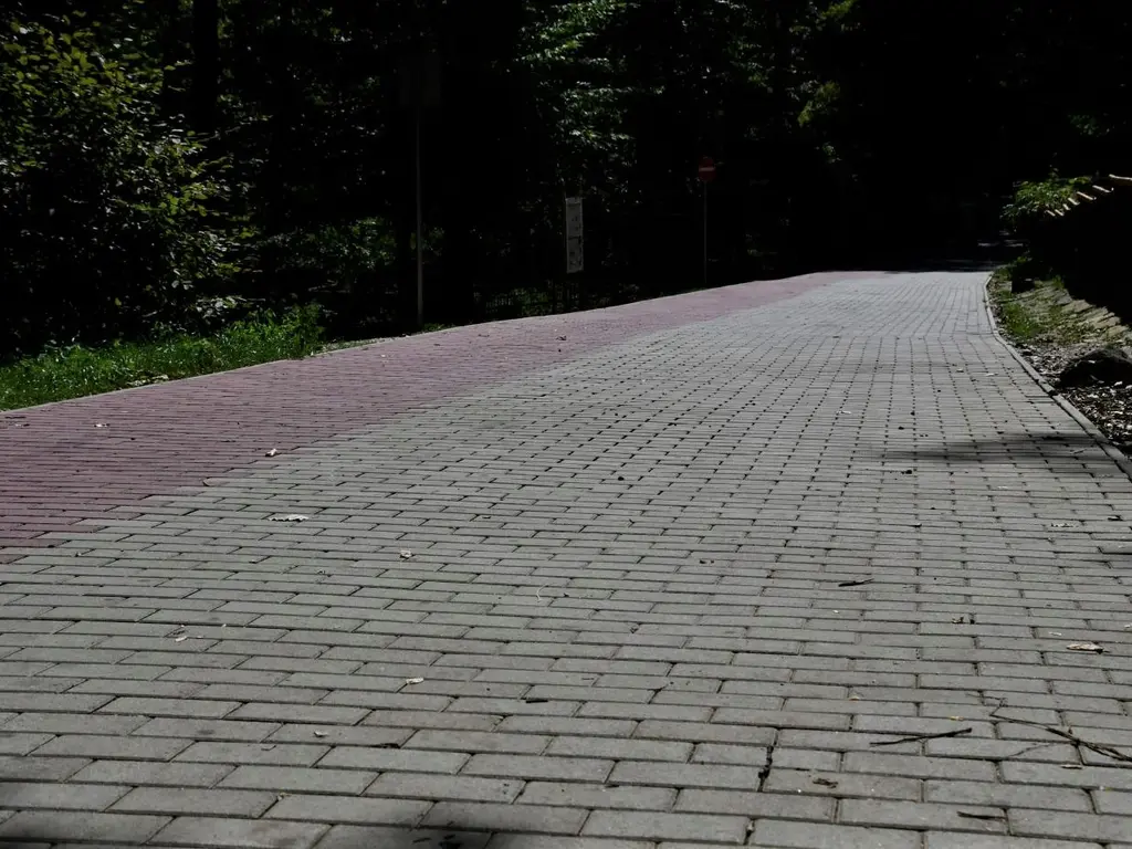 Folytatják a térkövezést az Állatkertben