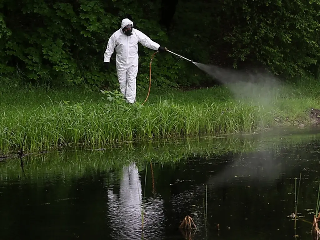 Fotó: MiNap-archív (Juhász Ákos 2021-es felvétele)