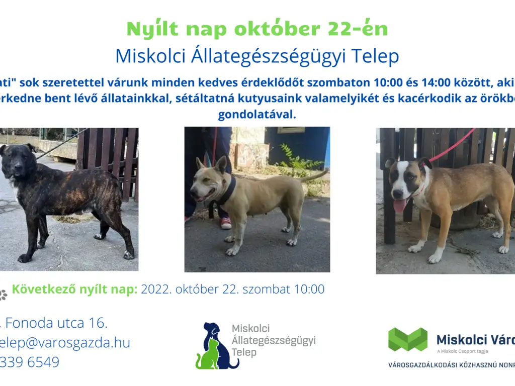 Nyílt nap az Állategészségügyi Telepen