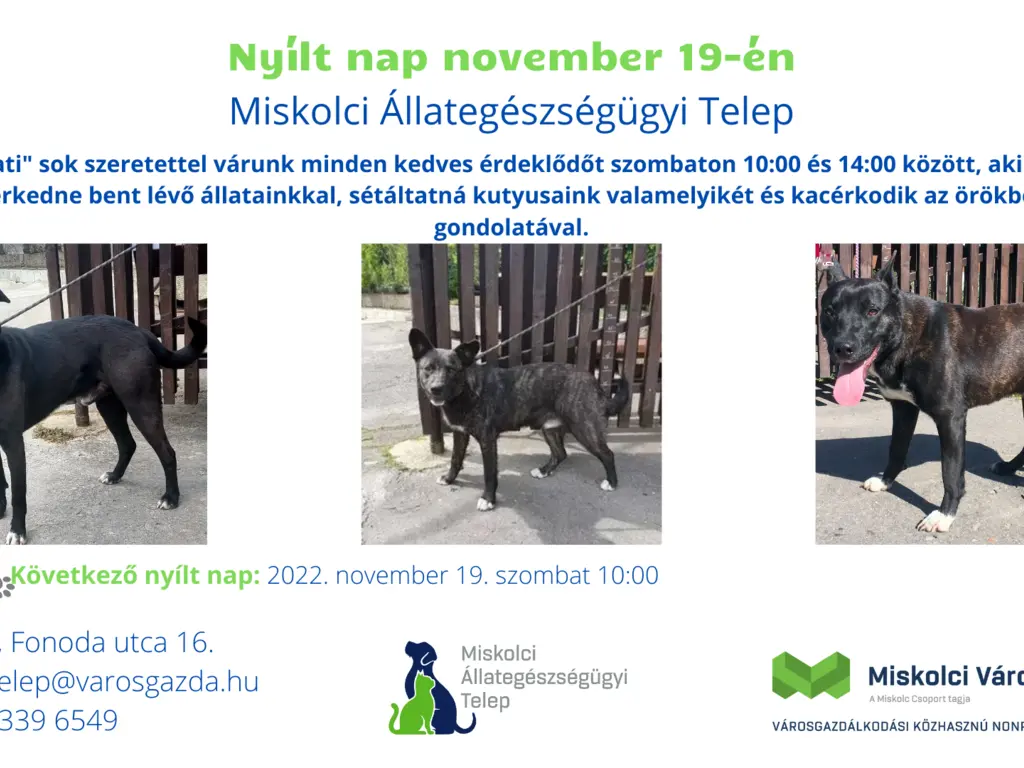 Nyílt nap az Állategészségügyi Telepen