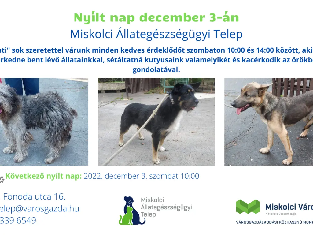 Nyílt nap az Állategészségügyi Telepen