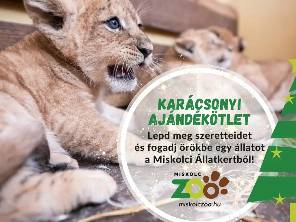 Karácsonyi ajándékötlet - örökbefogadás