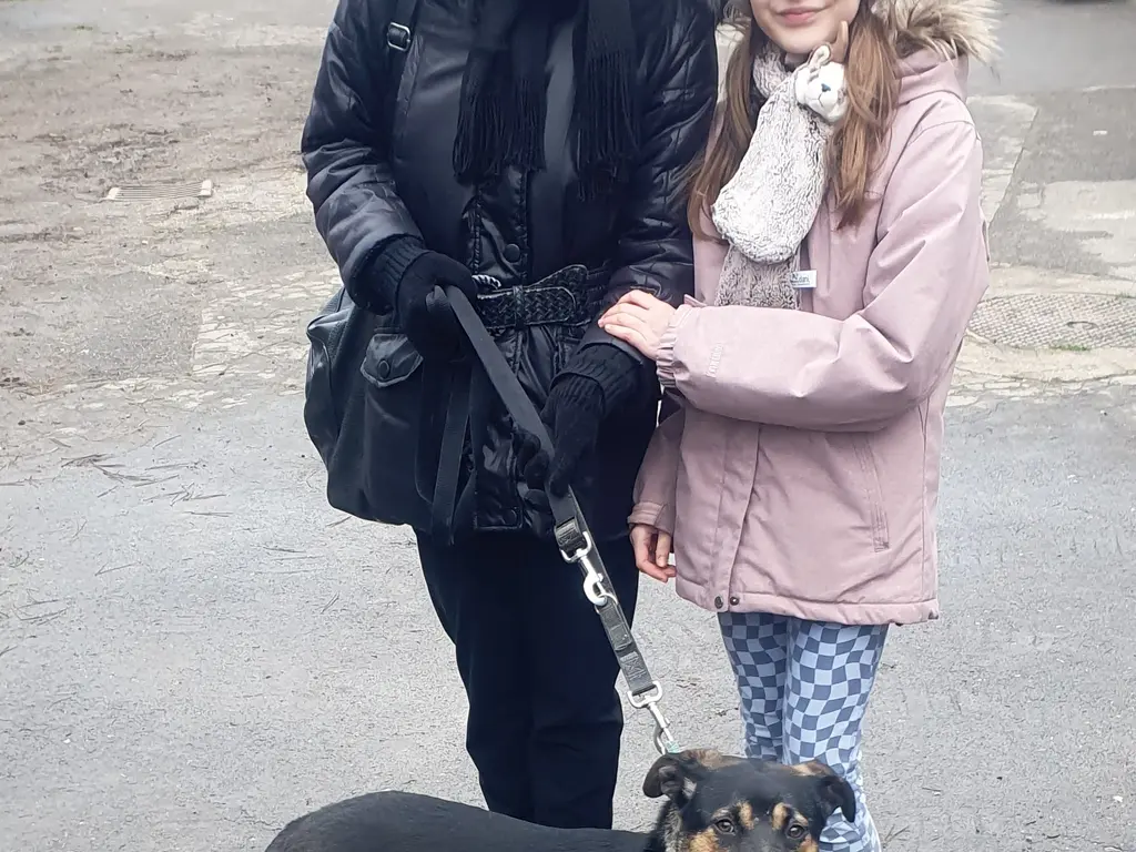 Kutyasétáltatás előtt a Fonoda utcai telepen