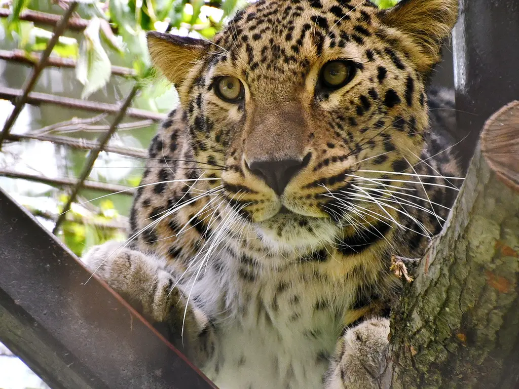 Ez történt 2022-ben