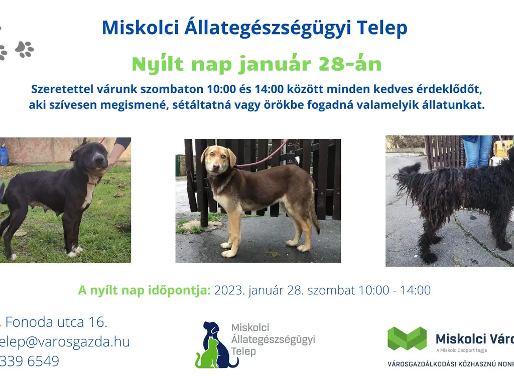 Nyílt nap január 28-án
