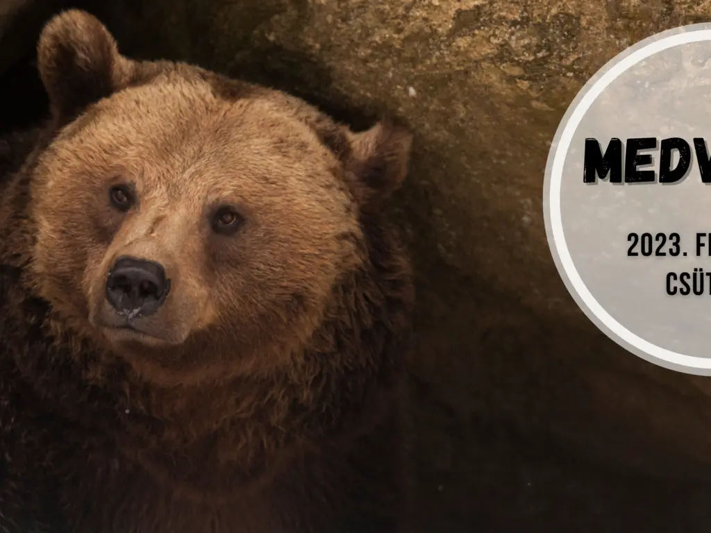 Medvelesre várják az érdeklődőket február 2-án