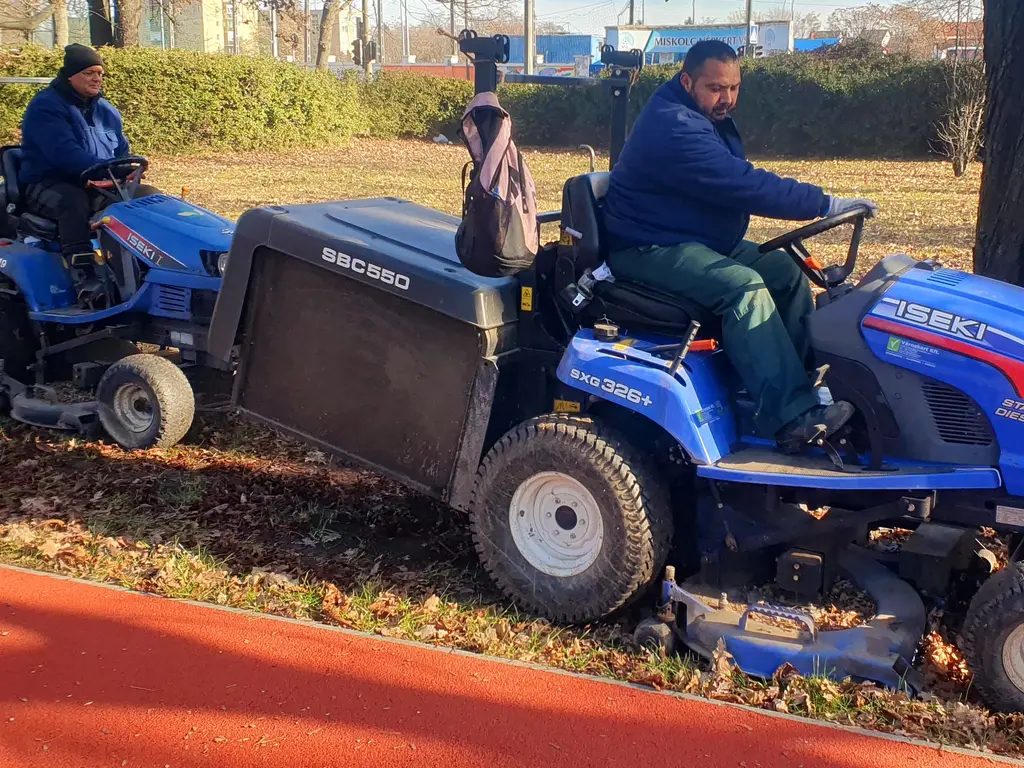 Lombgyűjtés a Népkertben