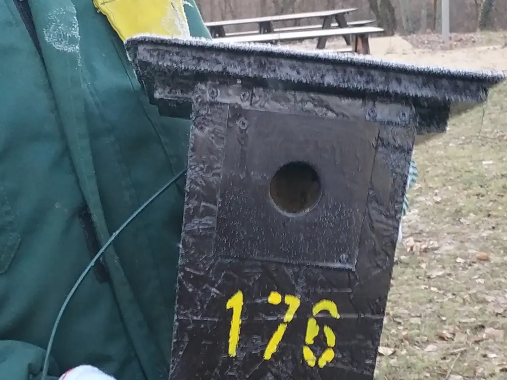 Telepítés előtti madárodú a második szériából