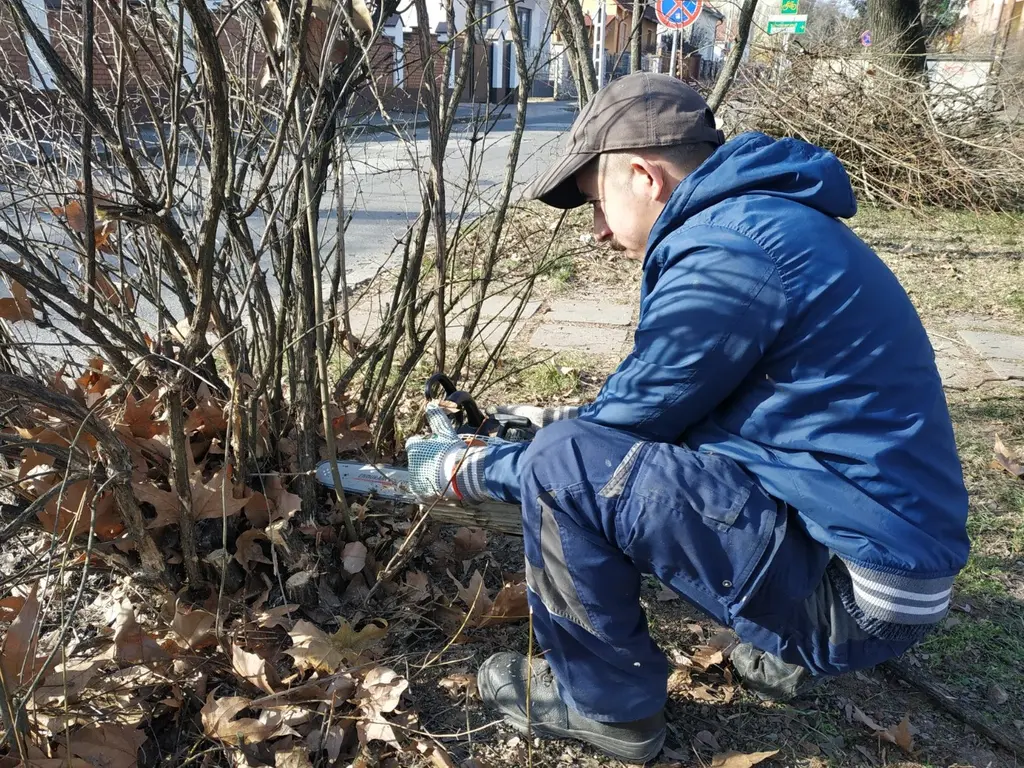 Cserjegondozás a Hét vezér téren