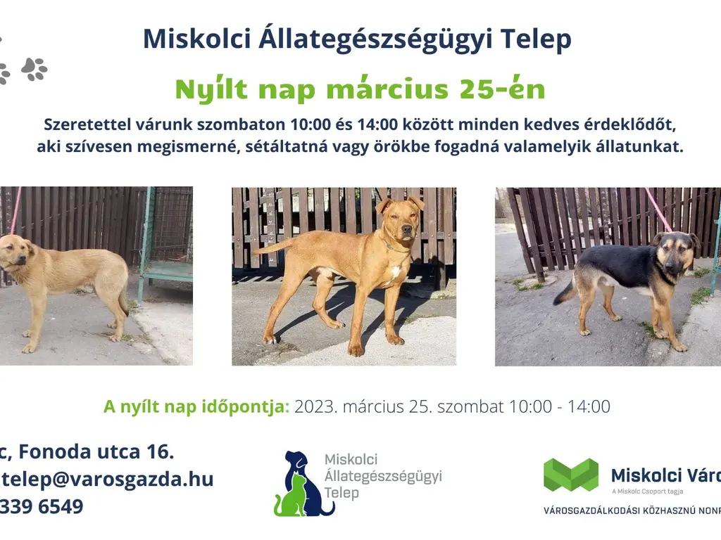 Nyílt nap március 25-én