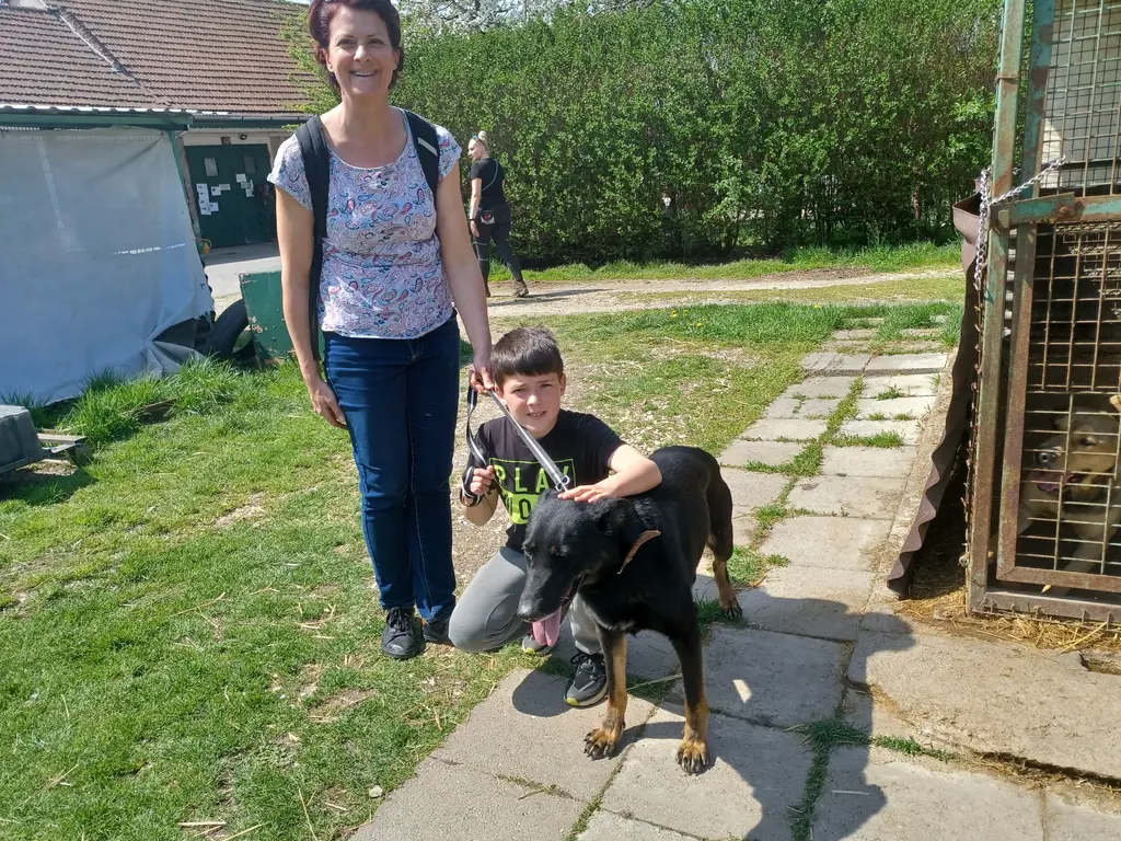 Nyílt nap az Állategészségügyi Telepen