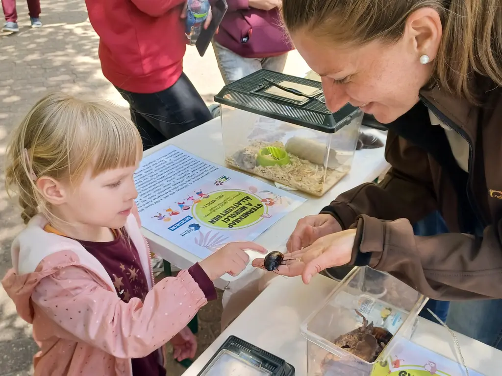 Kitelepülés Miskolc ZOO