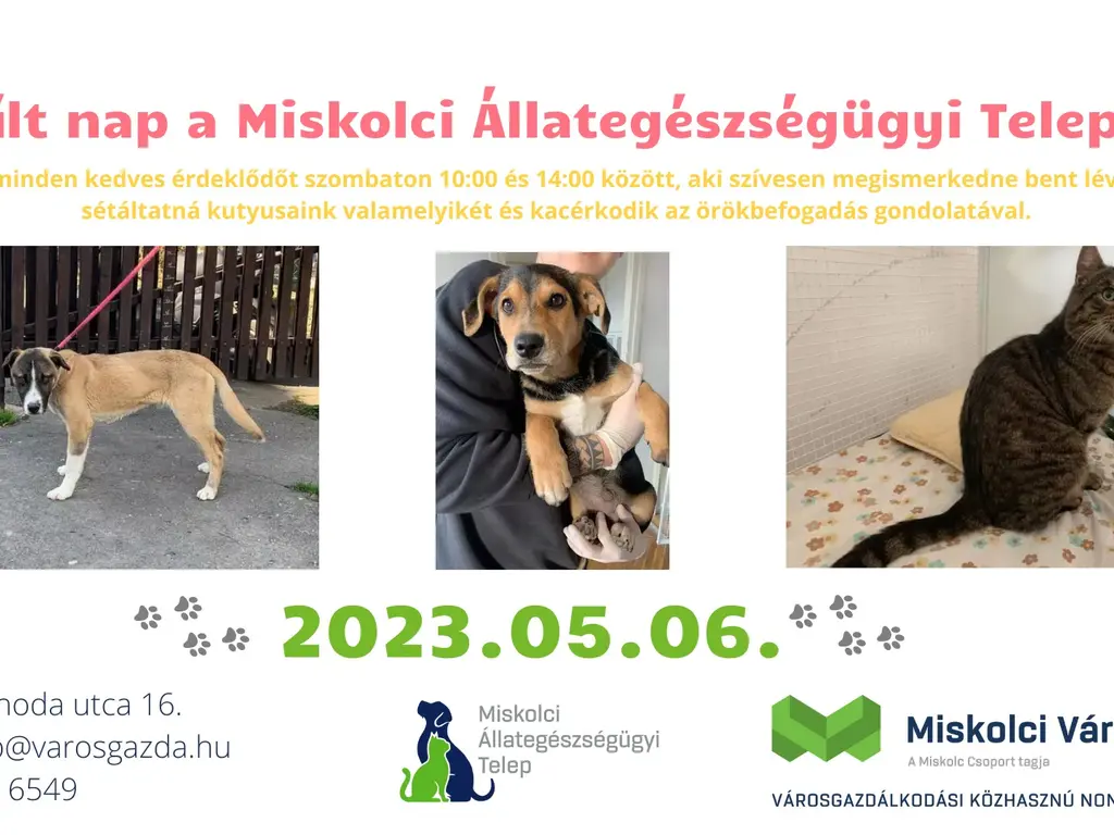 nyílt nap 05-06