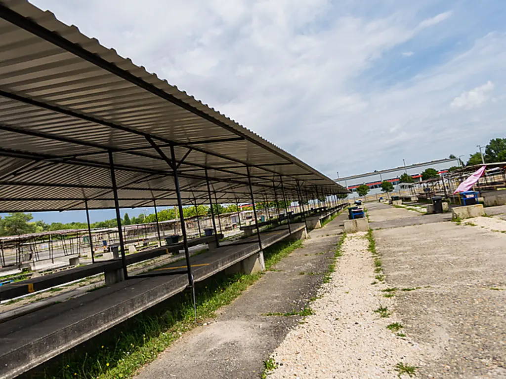 Lapszemle - folyamatos fejlesztések a Zsarnain