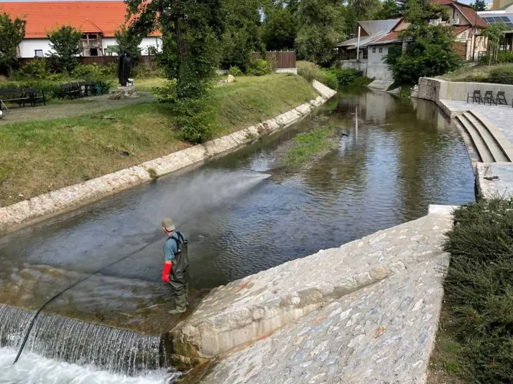 hordaléksziget felszámolása