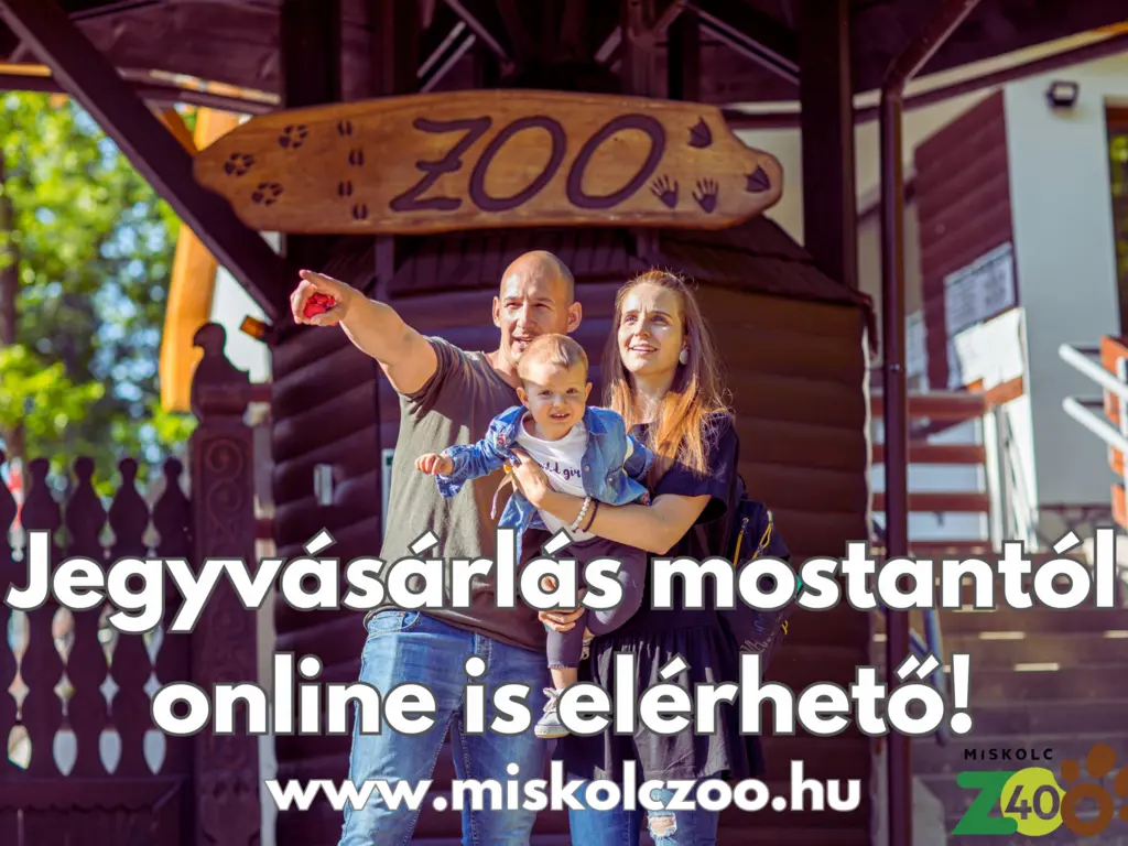 ZOO online