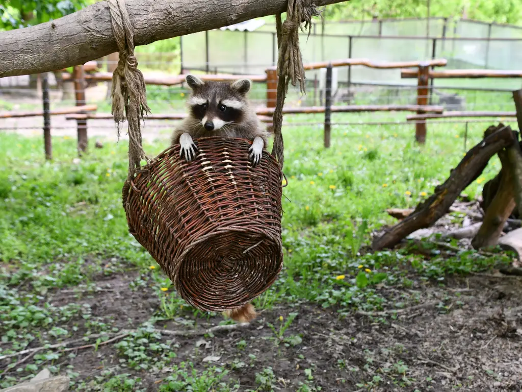 Október 1-től változik a Miskolci Állatkert nyitvatartási ideje