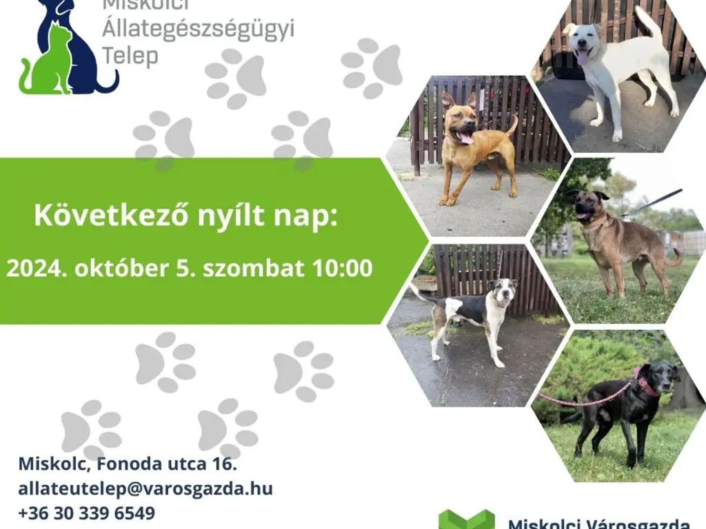 Nyílt nap az Állategészségügyi Telepen