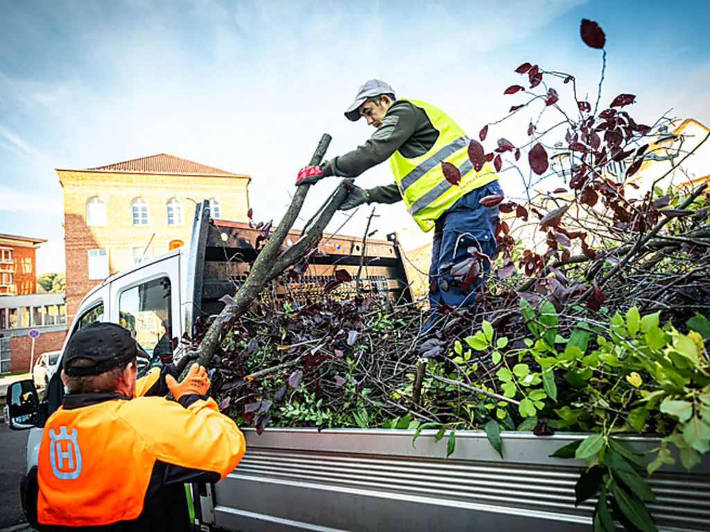 Forrás: Horváth Csongor 