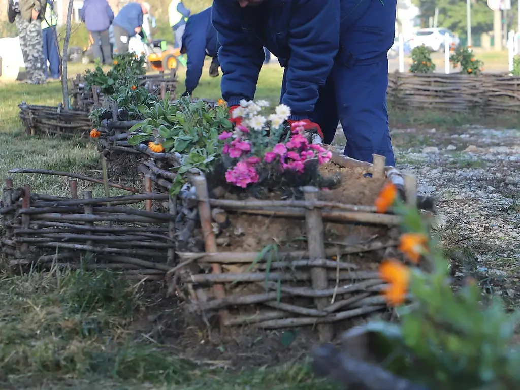 Fotó: Mocsári László