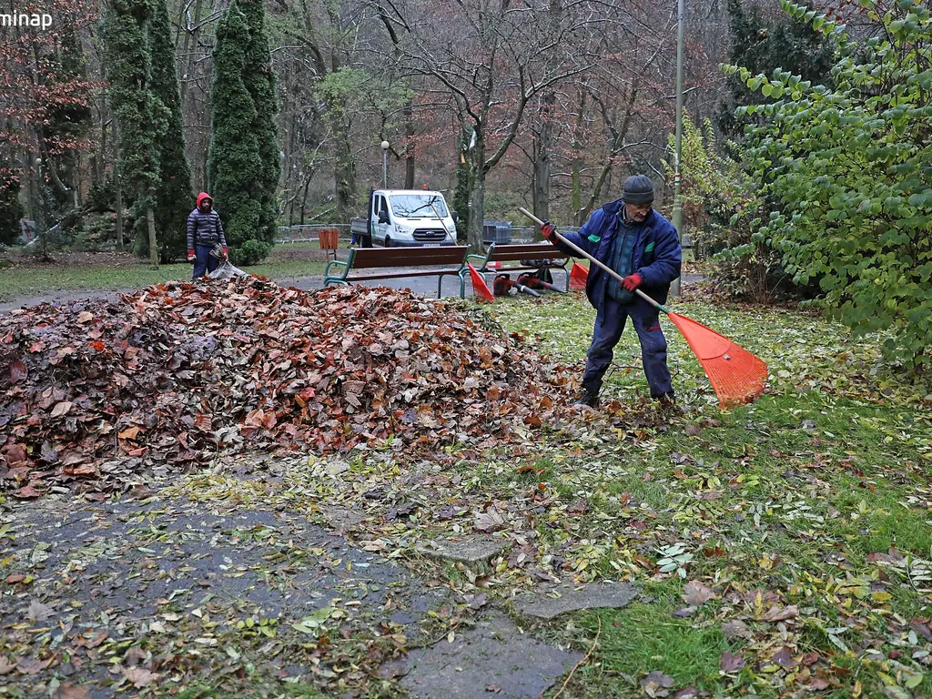 Fotó: Juhász Ákos