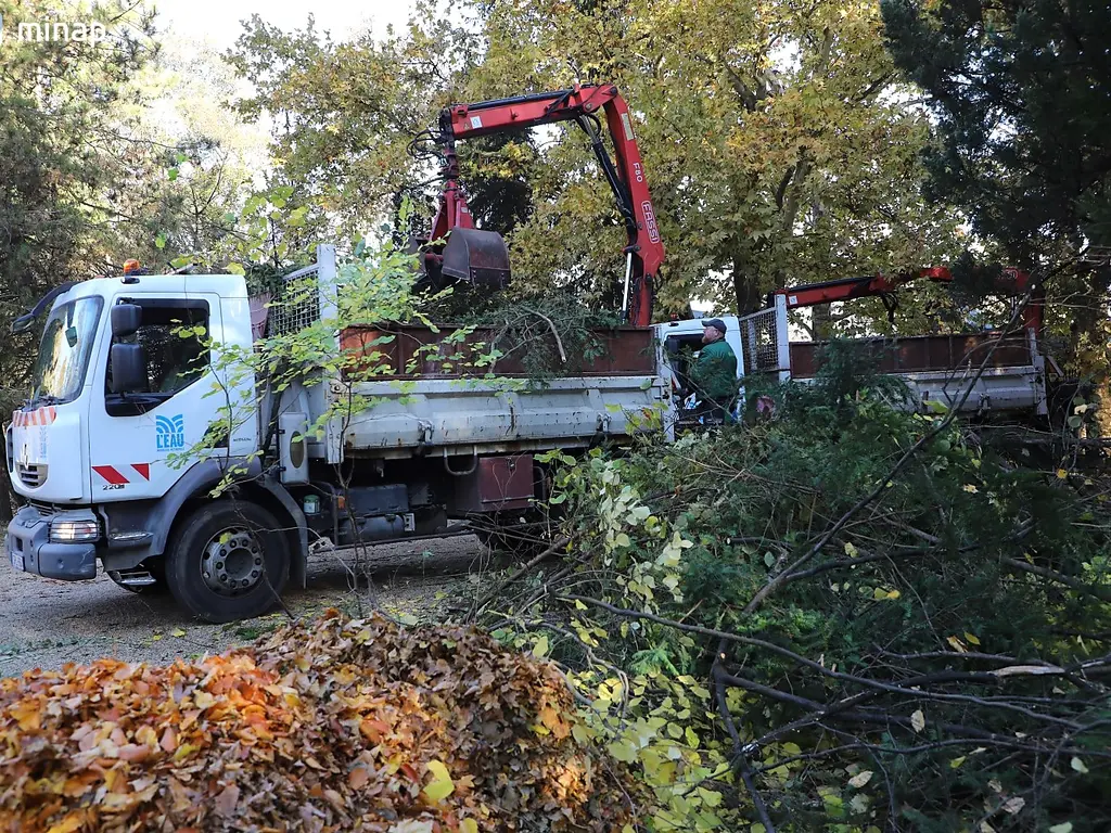 Fotó: Horváth Csongor