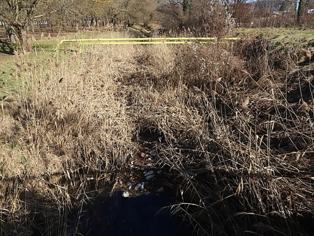 Fotó: Mocsári László