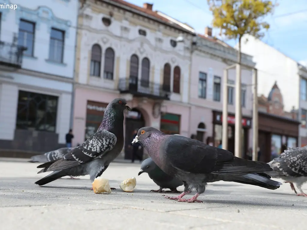 Fotó: Juhász Ákos