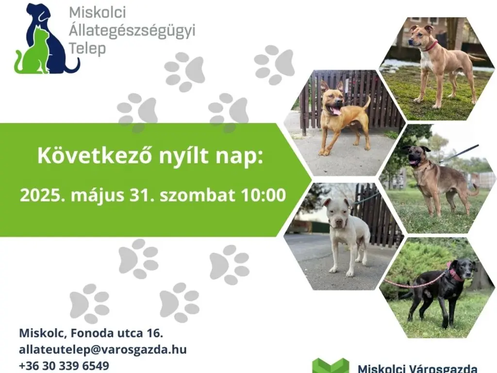 Nyílt nap az Állategészségügyi Telepen