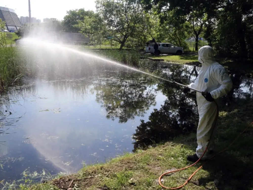 biológiai szúnyoggyérítés