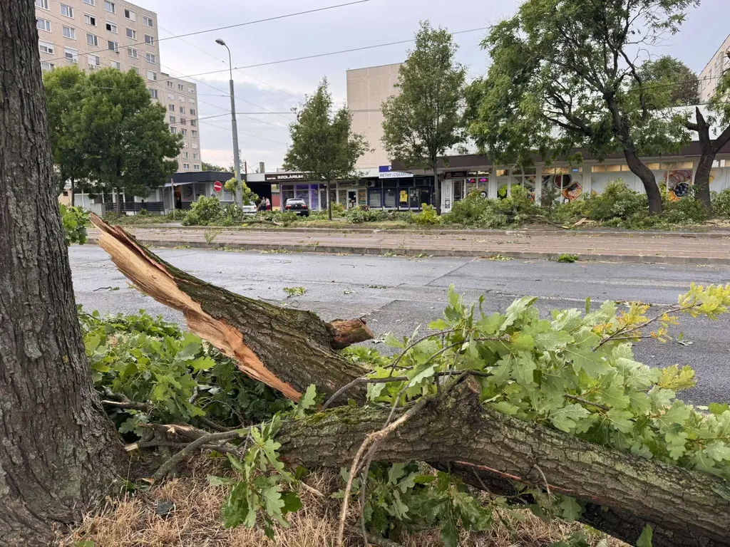 Pusztított a vihar Miskolcon. Fotók: Horváth Csongor