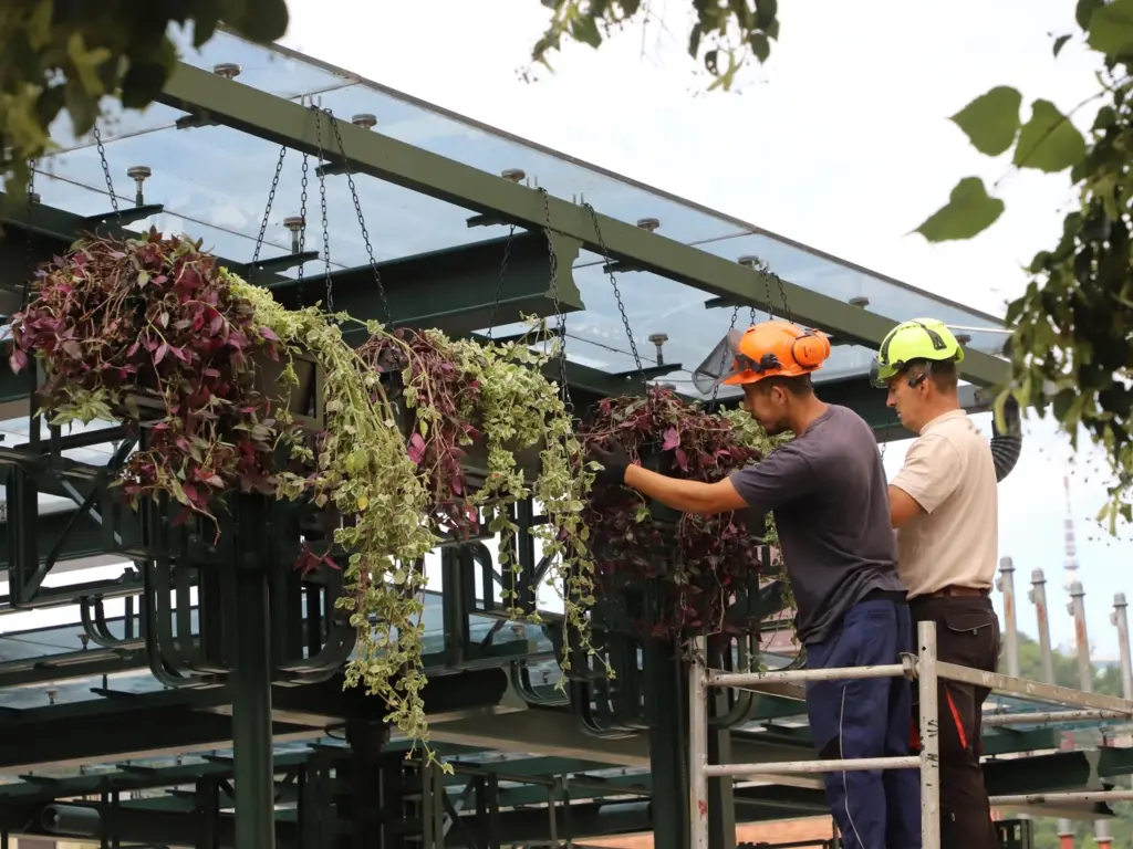 Virágosítás villanyrendőr