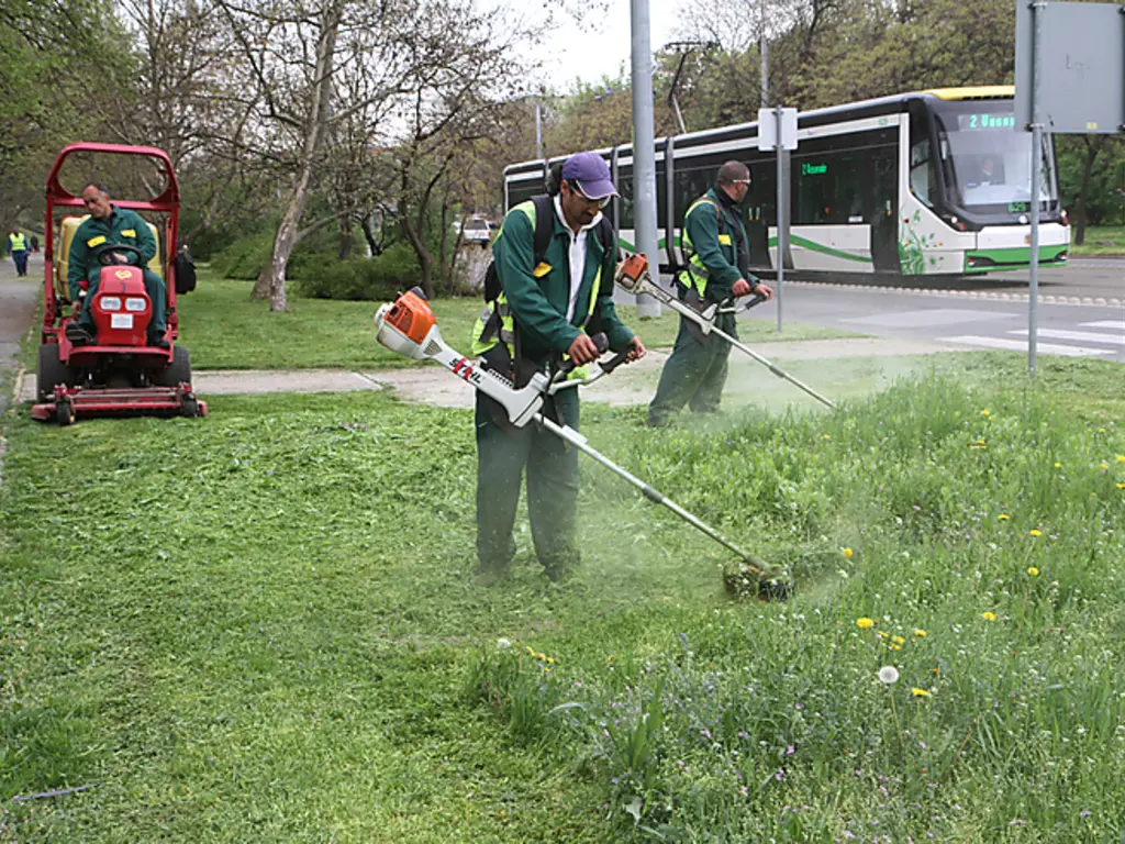 fűnyírási munka