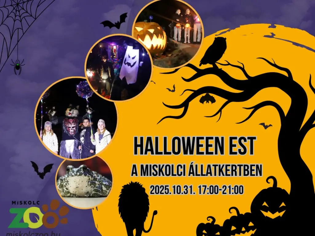 Miskolci Állatkert