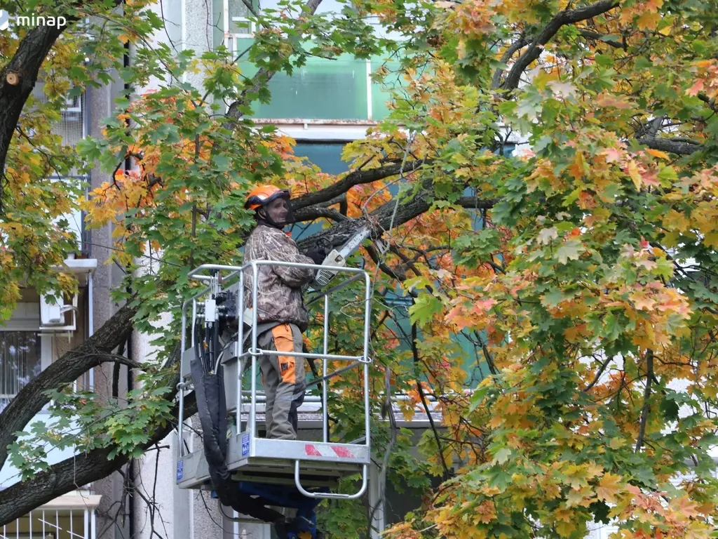 őszi nagytakarítás