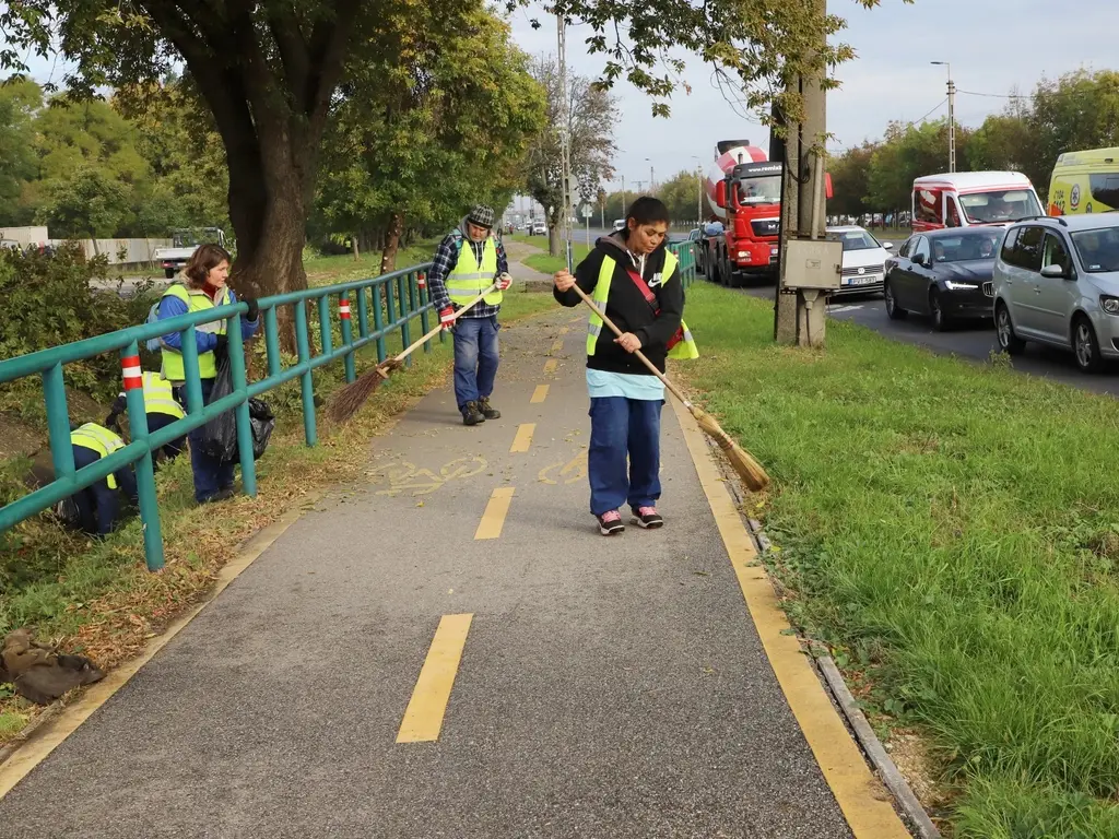 őszi nagytakarítás