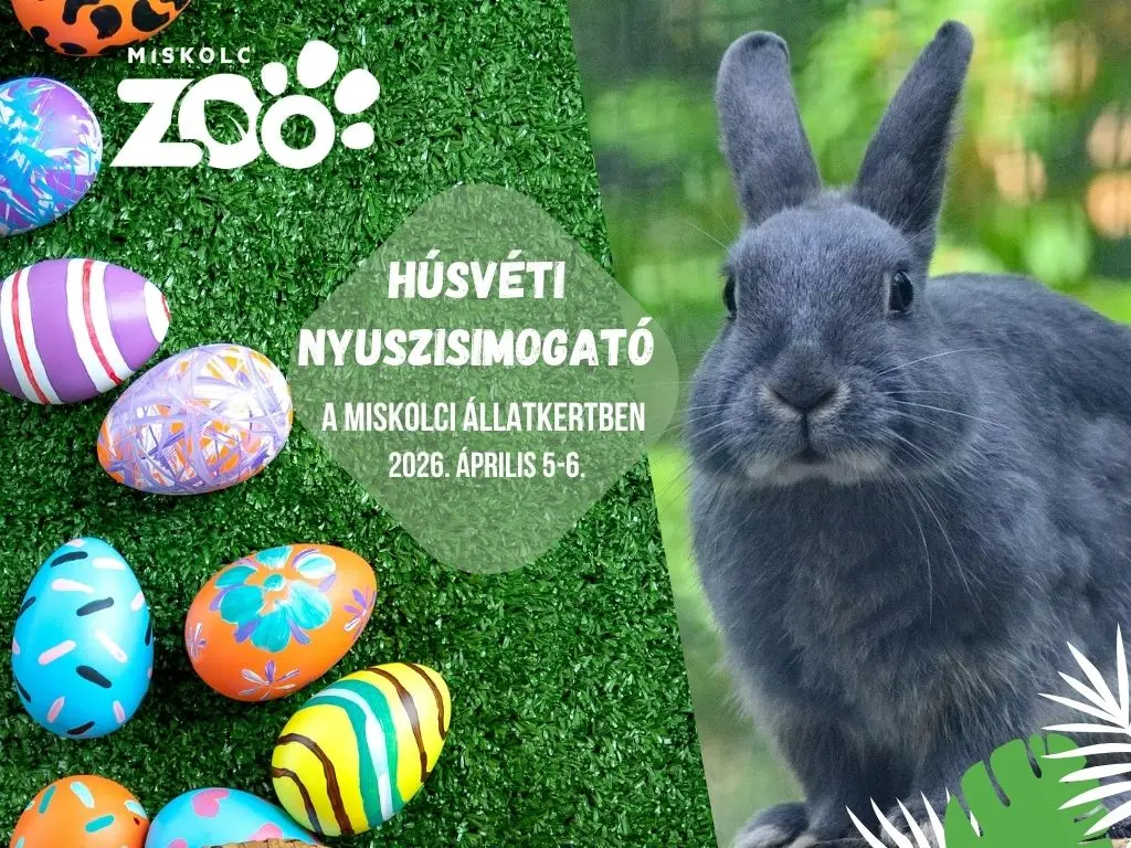 nyuszi simogató