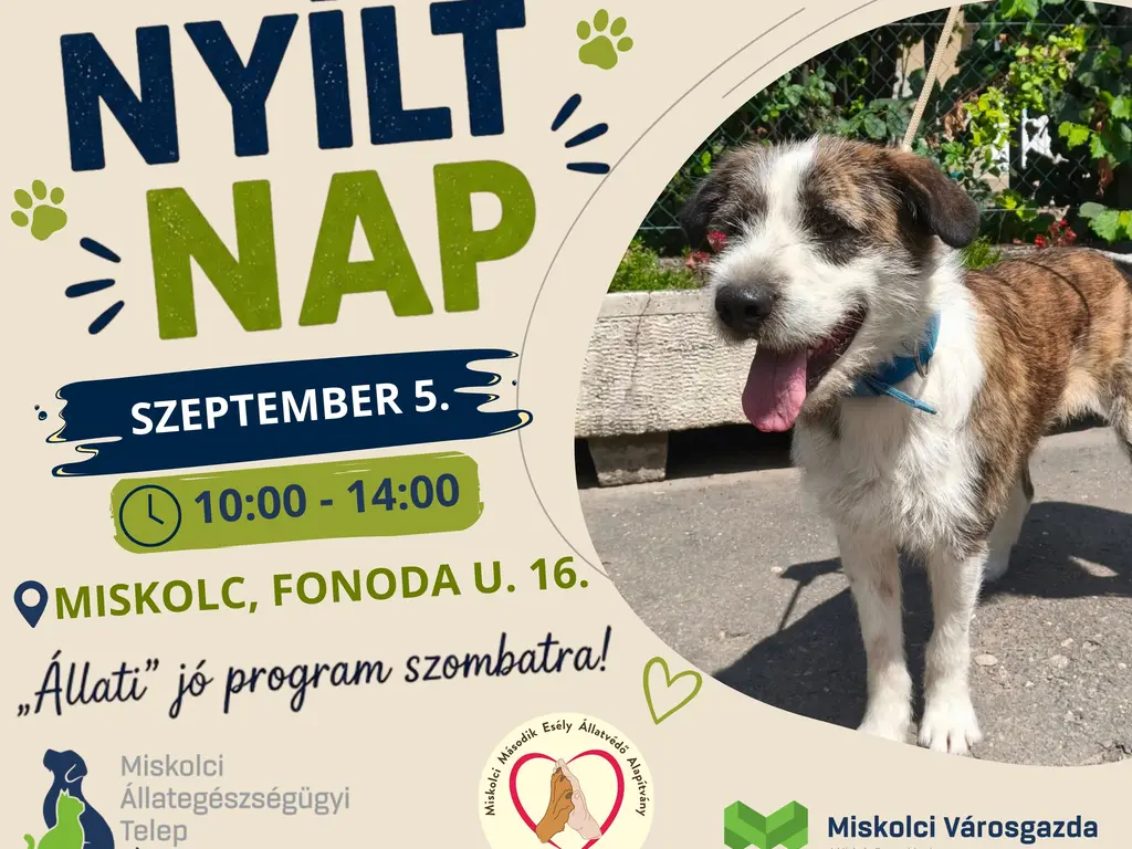 nyílt nap