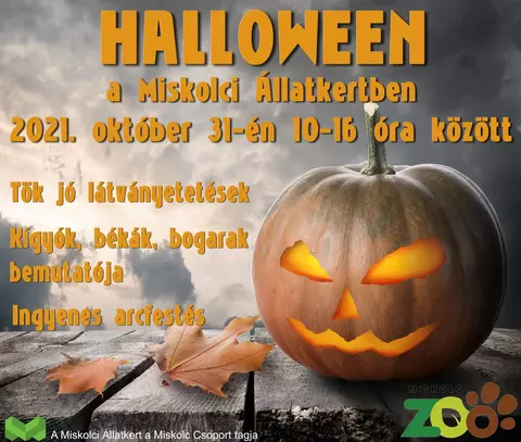 Halloween a Miskolci Állatkertben