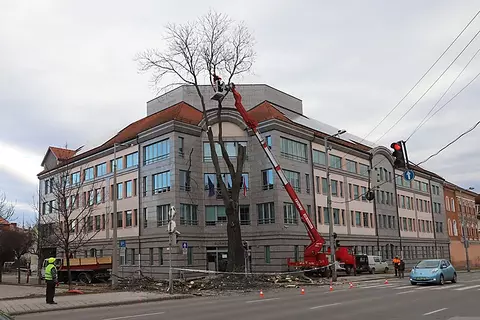 Fotó: Mocsári László Fotó: Mocsári László