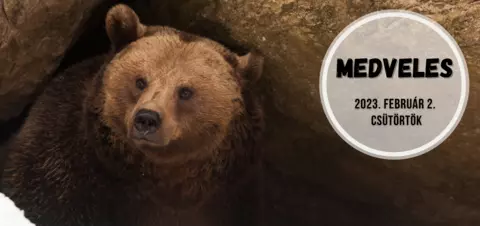 Medvelesre várják az érdeklődőket február 2-án Medvelesre várják az érdeklődőket február 2-án