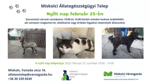 Nyílt nap a Miskolci Állategészségügyi Telepen Nyílt nap a Miskolci Állategészségügyi Telepen