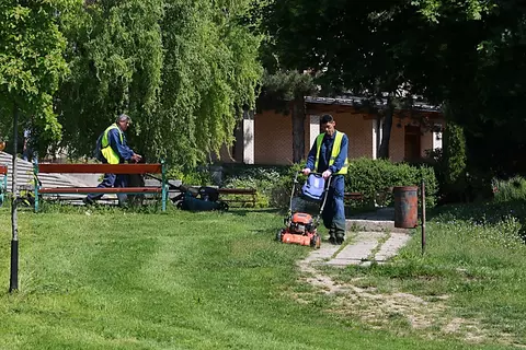 Fűnyírás fotó: Juhász Ákos Fűnyírás