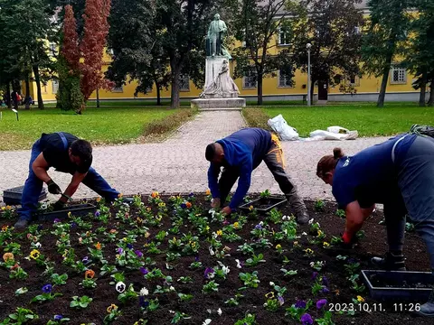 virágültetés Virágültetés