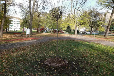 parkosítás Népkert parkosítás